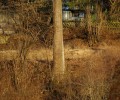 Joshofen Landschaft